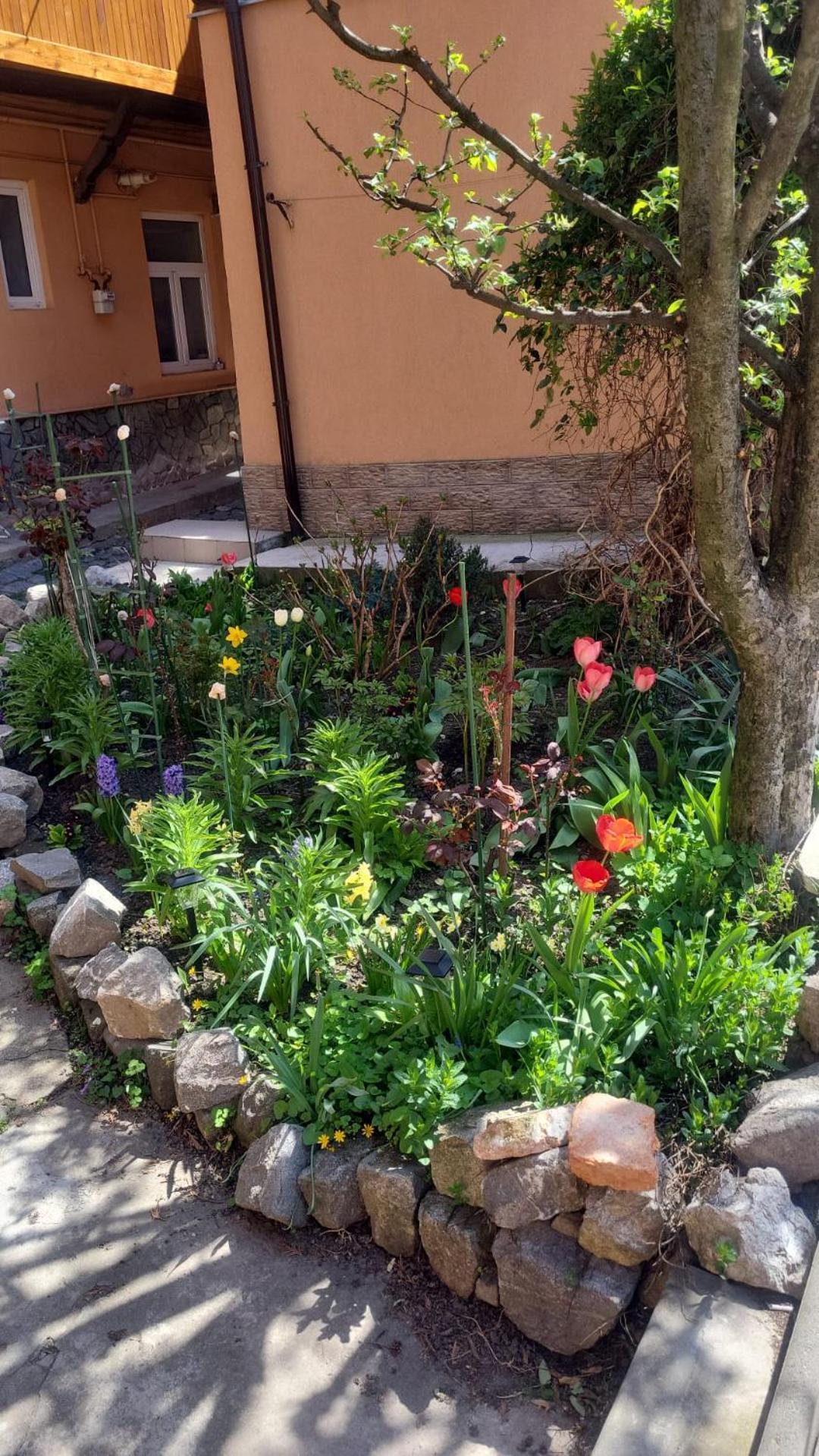 John Residence Apartment Brasov With Parking Option Esterno foto